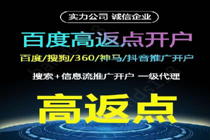 百度竞价SEM成功案例：揭秘广告投放秘诀